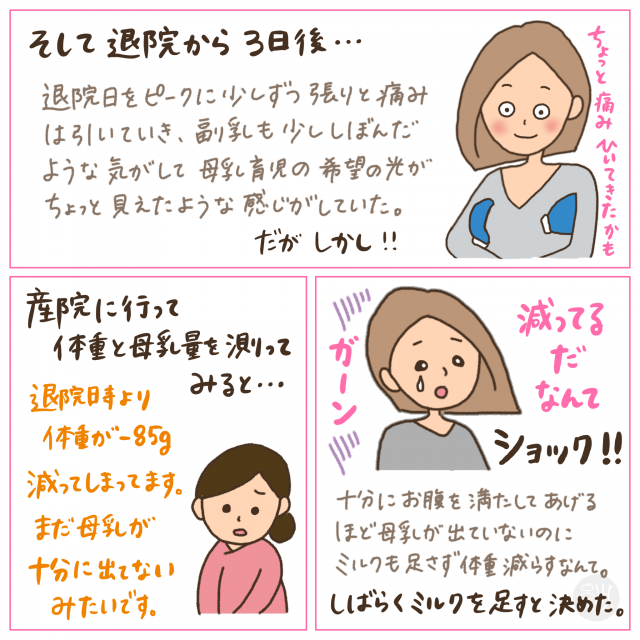 体験談 副乳持ち 母乳不足だった私の母乳育児が軌道に乗るまで しゃーごんダイアリー